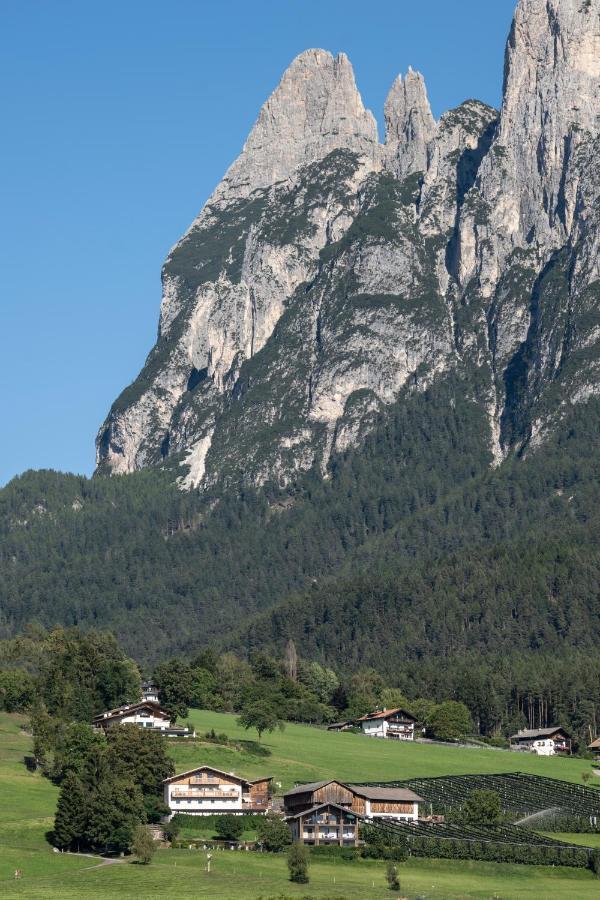 Appartements Panorama Fie allo Sciliar Bagian luar foto